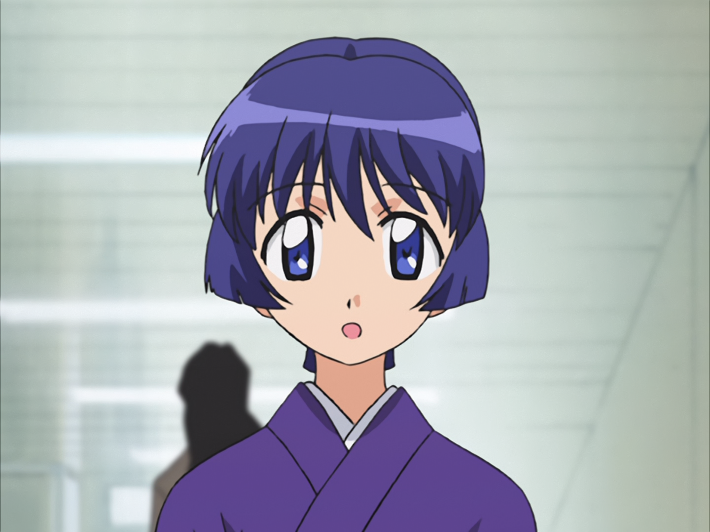 Ai Yori Aoshi (Otaku Tail No Fansub, Shin Gouki)